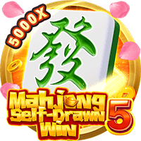 Mahjong Self-Drawn Win 5